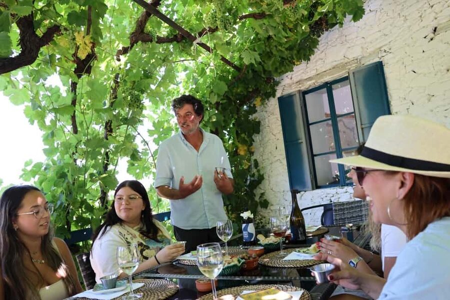 From Porto: 2 Boutique Wineries w/ Winery Lunch & 1-h cruise - Porto to Douro Valley: the drive that sets the tone