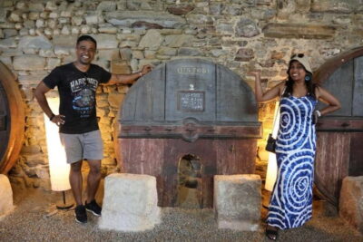 From Porto: 2 Boutique Wineries w/ Winery Lunch & 1-h cruise - Provesende winery tasting: start with reds, whites, olive oil
