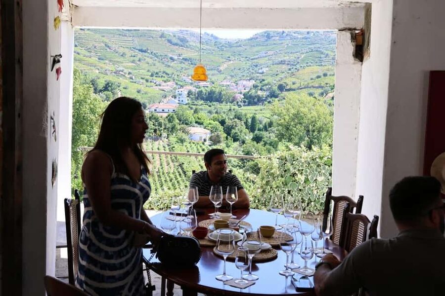 From Porto: 2 Boutique Wineries w/ Winery Lunch & 1-h cruise - Cambres winery stop: second tasting with that vineyard feeling