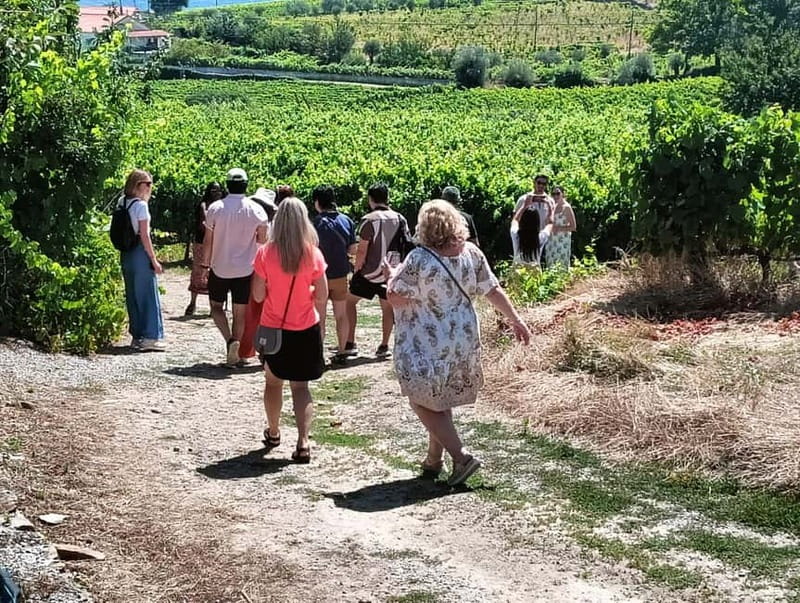 From Porto: 2 Wine Regions, Farm Lunch, and Boat Ride - The Rabelo boat ride from Pinhão: your 50 minutes of slow