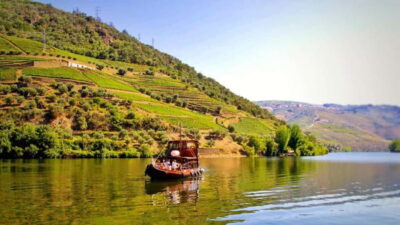 From Porto: 2 Wine Regions, Farm Lunch, and Boat Ride - Régua to Pinhão: viewpoints, timing, and getting your photos ready