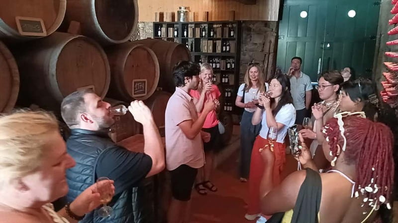 From Porto: 2 Wine Regions, Farm Lunch, and Boat Ride - Logistics that affect your comfort more than you think