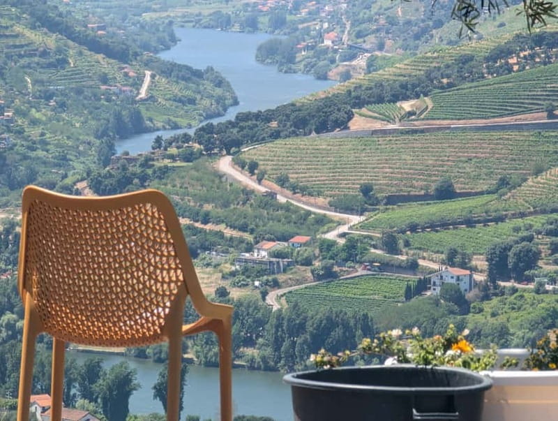 From Porto: 2 Wine Regions, Farm-to-Table Lunch & Boat - Should You Book This 2-Region Wine Day Trip?
