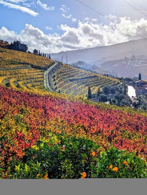 From Porto: 2 Wine Regions, Farm-to-Table Lunch & Boat - Pinhão: Photo Stops, Then a Private Hour on the Douro
