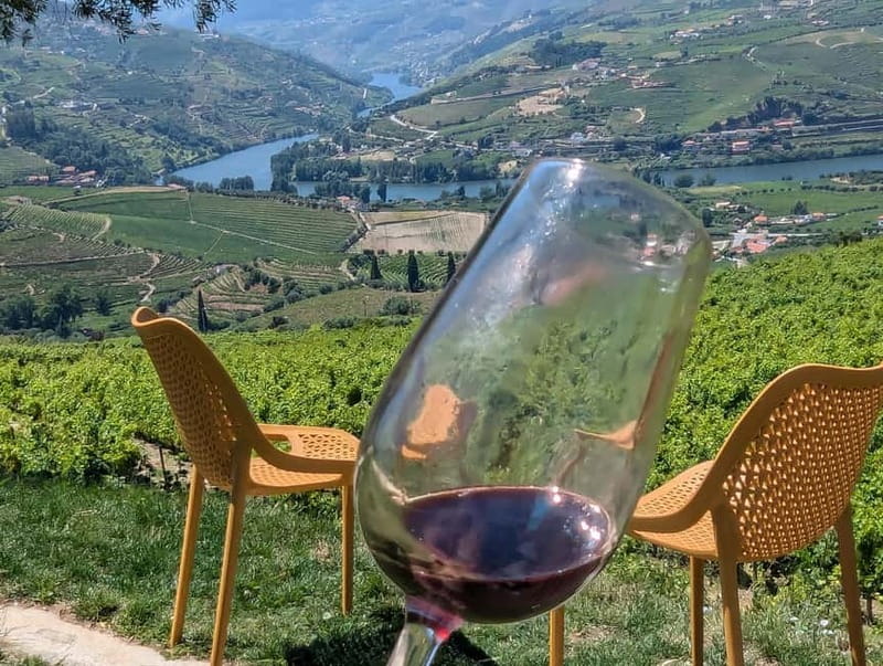 From Porto: 2 Wine Regions, Farm-to-Table Lunch & Boat - Price and Value: Why $94 Can Feel Like a Steal