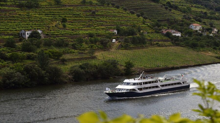 From Porto: Douro River Cruise, Winery Visit & Lunch - Who should book this Douro day trip (and who might not)