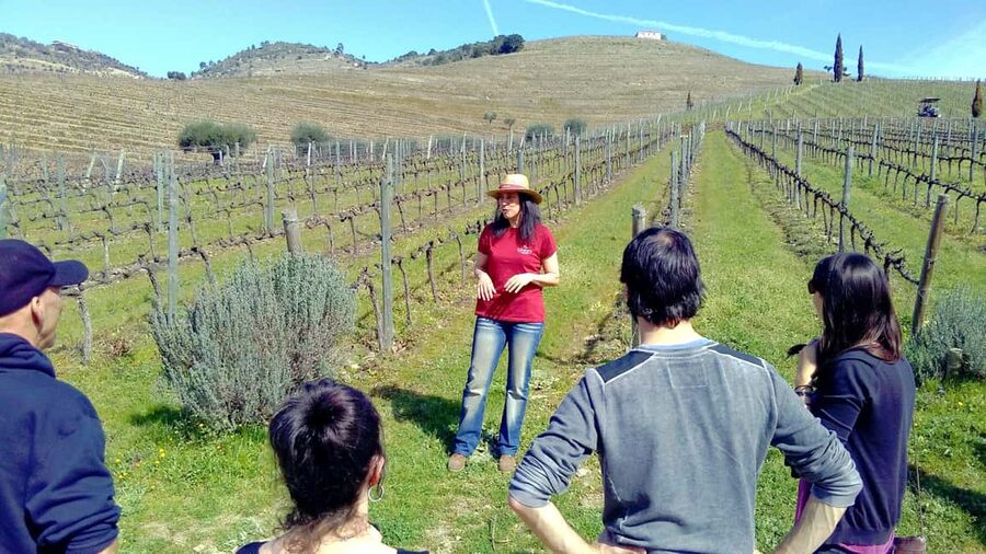 From Porto: Douro Valley 3 Vineyards Tour with Lunch - From Porto to the Vineyards: Expect a Real Day Trip