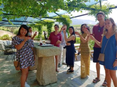 From Porto: Douro Valley 3 Vineyards Tour with Lunch - Stop 1: Winery Facilities Tour and First Tastings