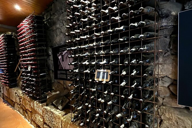 From Porto: Douro Valley Tour with 2 Wineries, Lunch and Cruise - Who should book this Douro Valley tour from Porto
