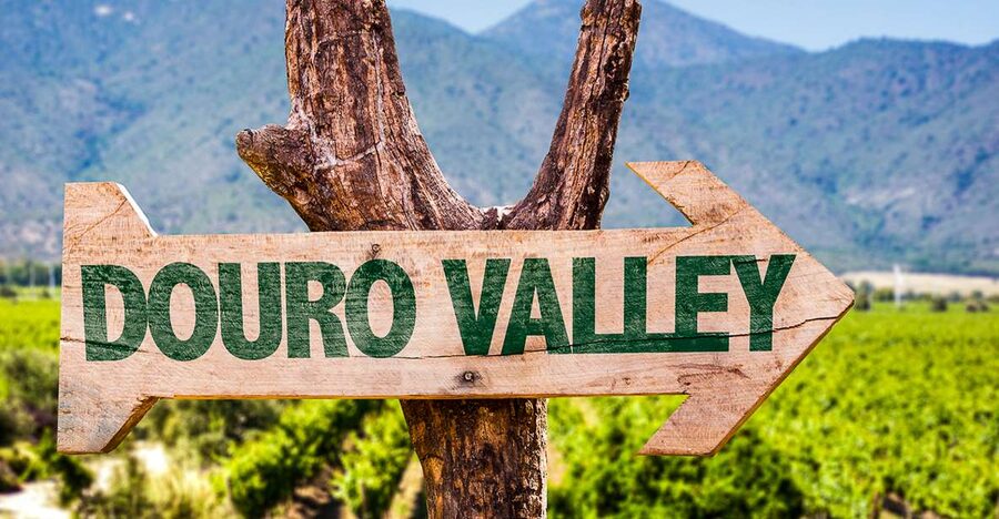 From Porto: Douro Valley w/ Boat Tour, Wine Tasting & Lunch - Tastings, olive oil, and what you should expect to taste