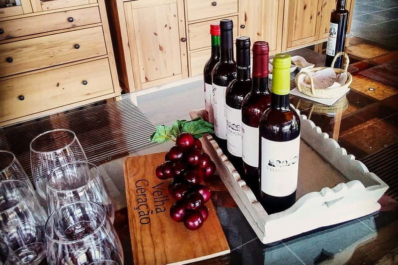 From Porto: Douro Valley with Wineries, Lunch and Boat Trip - Key highlights worth getting excited about