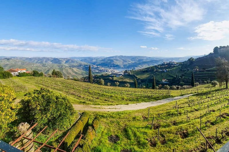 From Porto: Douro Valley with Wineries, Lunch and Boat Trip - Price and value: what about $171 makes sense here