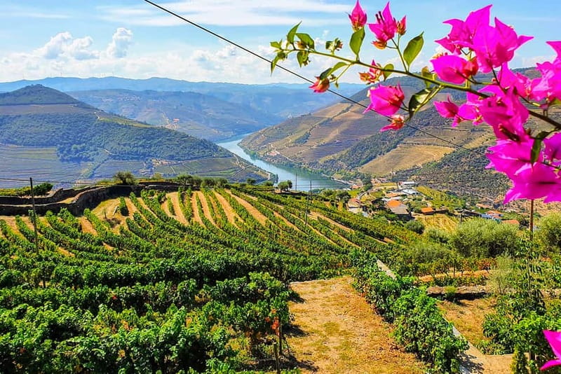 From Porto: Douro Valley with Wineries, Lunch and Boat Trip - The Douro Valley day-trip structure that actually works