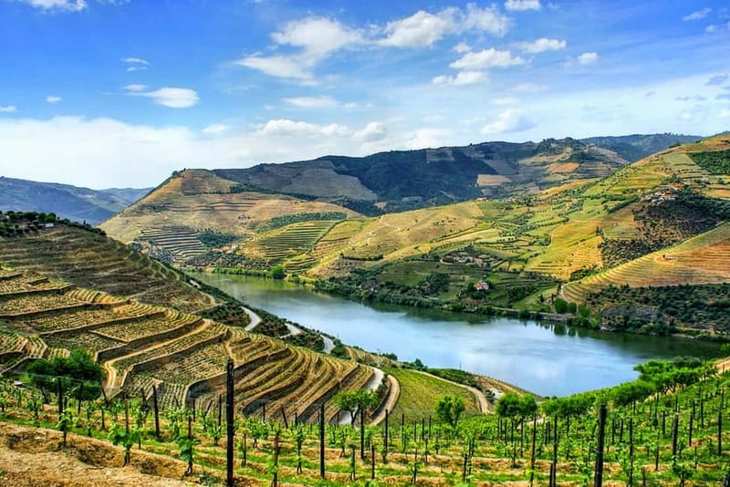From Porto: Douro Valley with Wineries, Lunch and Boat Trip - Amarante and Peso da Régua: small stops, big payoff