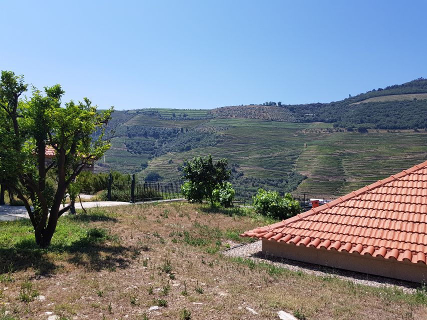 From Porto: Premium Douro Valley 4 Vineyards Tour with Lunch - The sightseeing break: why the 45 minutes are more than a stretch