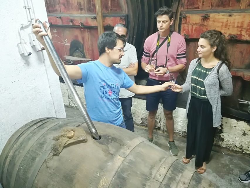 From Porto: Premium Douro Valley 4 Vineyards Tour with Lunch - Stop two: olive oil, Port, and an older-vine feel