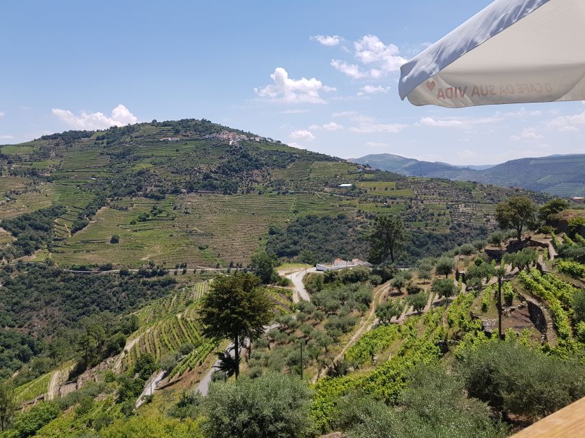 From Porto: Premium Douro Valley 4 Vineyards Tour with Lunch - Lunch at the third winery: Portuguese food paired with estate wines