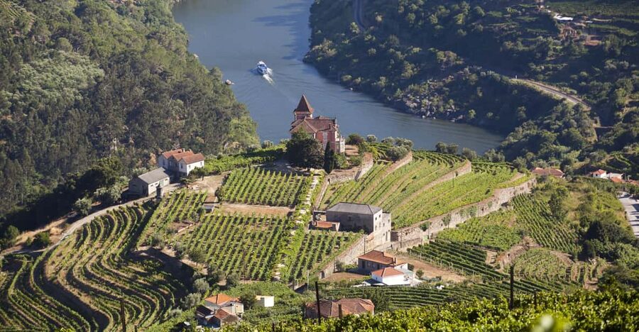 From Porto: Premium Douro Valley Small-Group Wine Tour - Key things you’ll notice