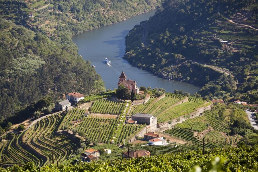 From Porto: Premium Douro Valley Small-Group Wine Tour - Winery stop 2: a second producer, a different lesson