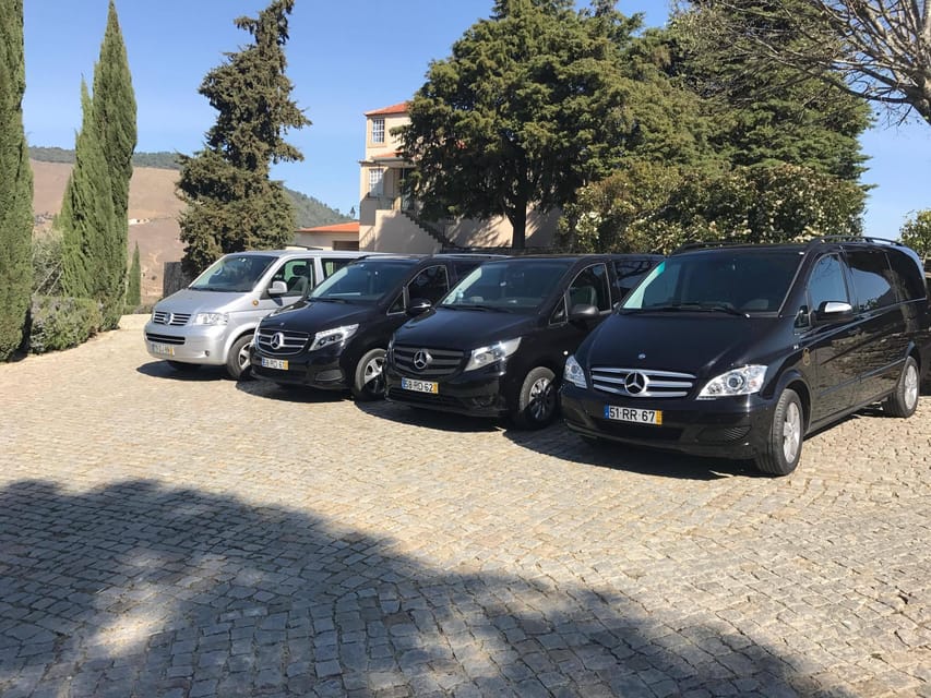 From Porto: Premium Douro Valley Small-Group Wine Tour - What exactly is included in your tastings