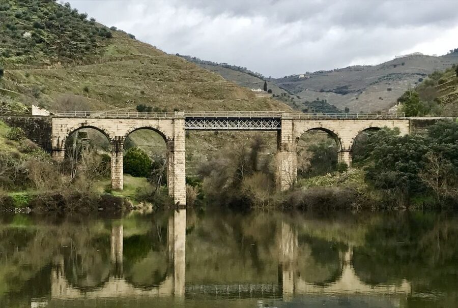 From Porto: Private Douro Valley Tour with Cruise and Wine - Price and value: is $294 per person fair?