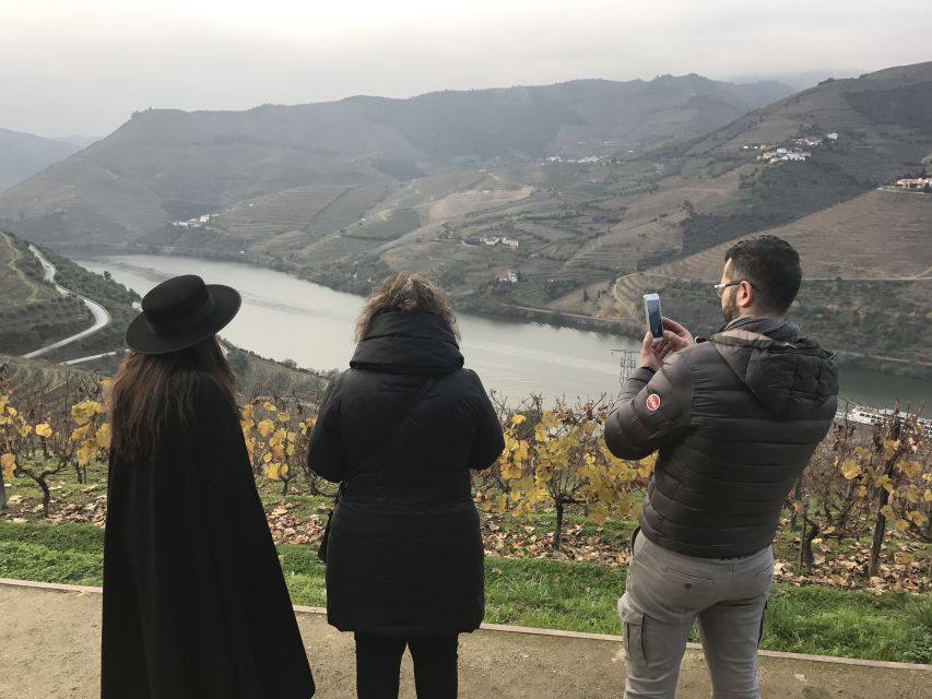 From Porto: Private Douro Valley Tour with Cruise and Wine - Two wine estates with tastings that fit the Douro story