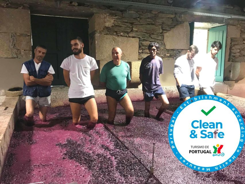 From Porto: Private Douro Valley Tour with Cruise and Wine - Delfim-style guiding: what makes this feel like more than a checklist