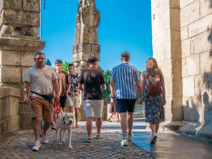 From Porto: Small Group Douro Valley Tour with Wine & Cruise - Who should book this Douro wine and cruise tour