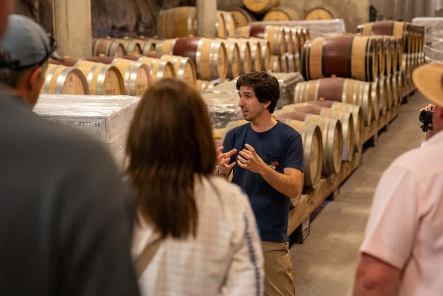 From Porto: Small Group Douro Valley Tour with Wine & Cruise - Price and value: what you’re really paying for at about $147