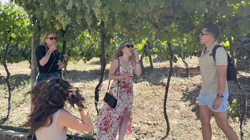 From Porto: Tastings at 2 Wineries, Chef's Lunch & Boat Tour - Olive Oil Tastings: The Side Quest That Works