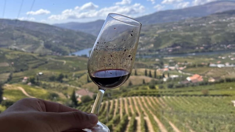 From Porto: Tastings at 2 Wineries, Chef's Lunch & Boat Tour - Group Size, Guides, and the Real Difference You Feel