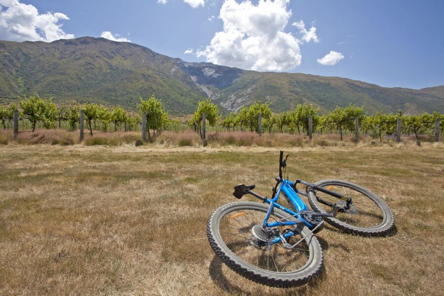 From Queenstown: 'Valley of the Vines' Wine and Bike Tour - Kawarau River and the Kawarau Bridge bungee option