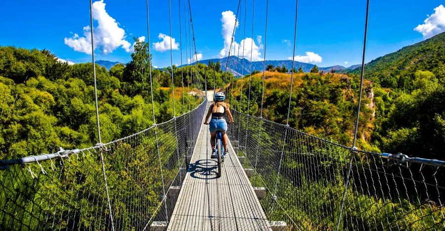 From Queenstown: 'Valley of the Vines' Wine and Bike Tour - eBike vs pedal bike: comfort rules that matter more than you think