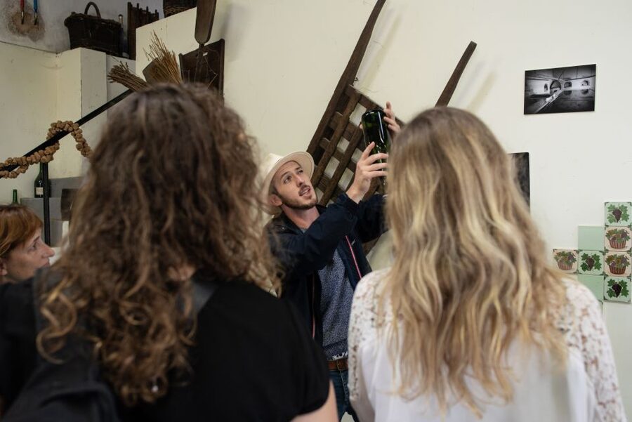 From Reims: Champagne and Family-Run Wineries Tour - Cellars at 10°C: what to expect and how to dress