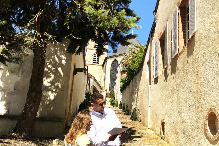 From Reims: Champagne and Family-Run Wineries Tour - The minivan experience: small group comfort, with one tradeoff
