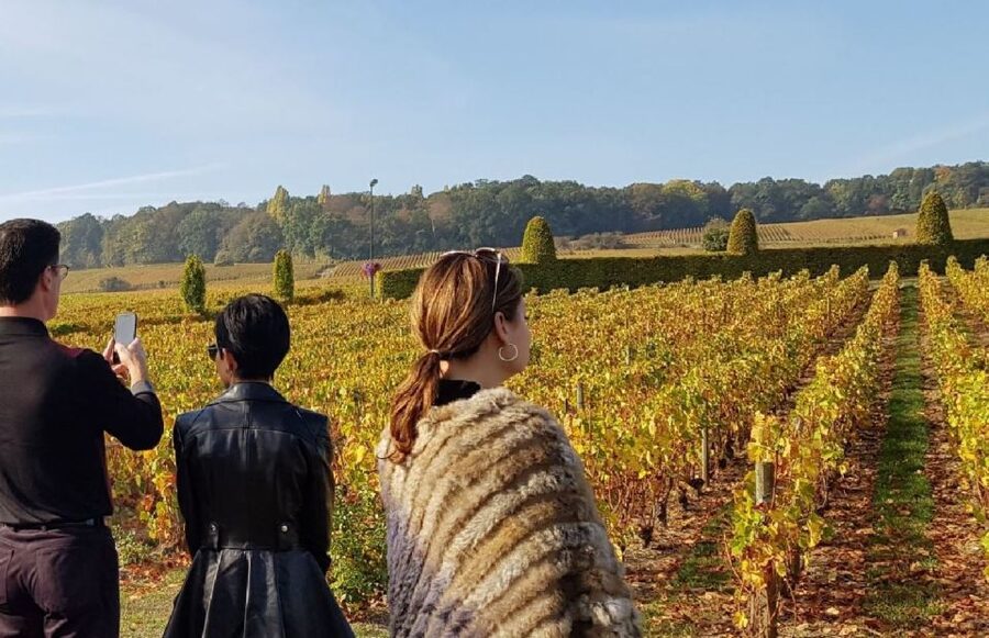 From Reims: Champagne Day Trip to 3 Family Domains & Lunch - Three family domains and 9 glasses: the real heart of the tour
