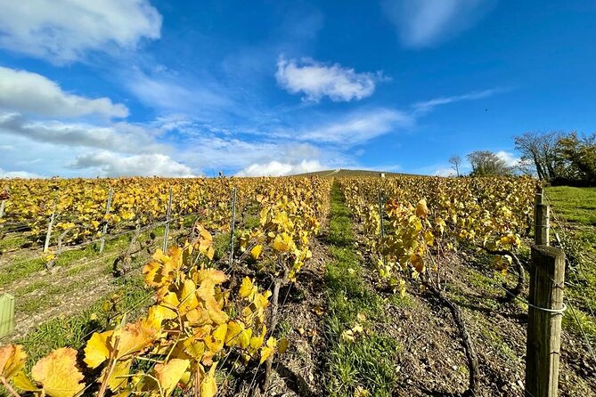 From Reims: Champagne Small-Group tour with tastings & Lunch - Hautvillers and Dom Pérignon: where the story turns personal