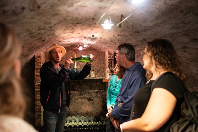 From Reims Full day Electric bike Champagne and lunch - Price and value: $235.83 for a full Champagne day with food and bikes