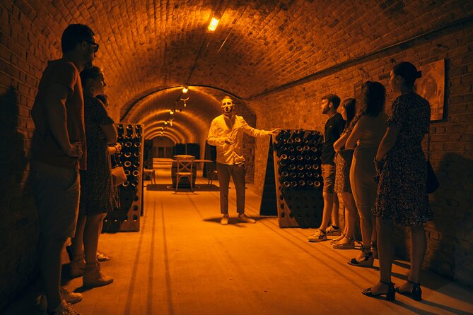 From Reims morning Champagne family growers - Vineyard break in Montagne de Reims: 20 minutes that change your perspective
