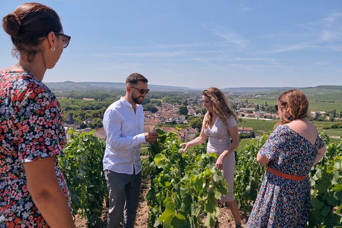 From Reims morning Champagne family growers - Comfort and group size: why the van and the limit matter