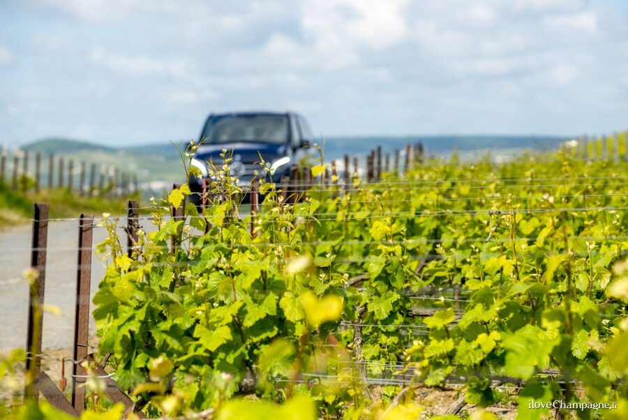 From Reims: Morning Champagne Tour and Tastings - Why the 9:20AM Reims Start Makes This Tour Easy