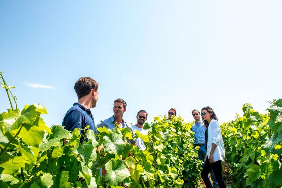 From Reims: Morning Champagne Tour and Tastings - The Guide Makes the Difference (and You Can Feel It in the Pace)