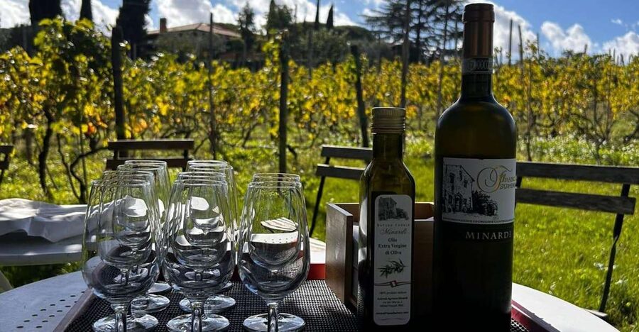 From Rome: Half-Day Frascati Wine Tour with Farmhouse Lunch - Key Highlights You’ll Actually Care About