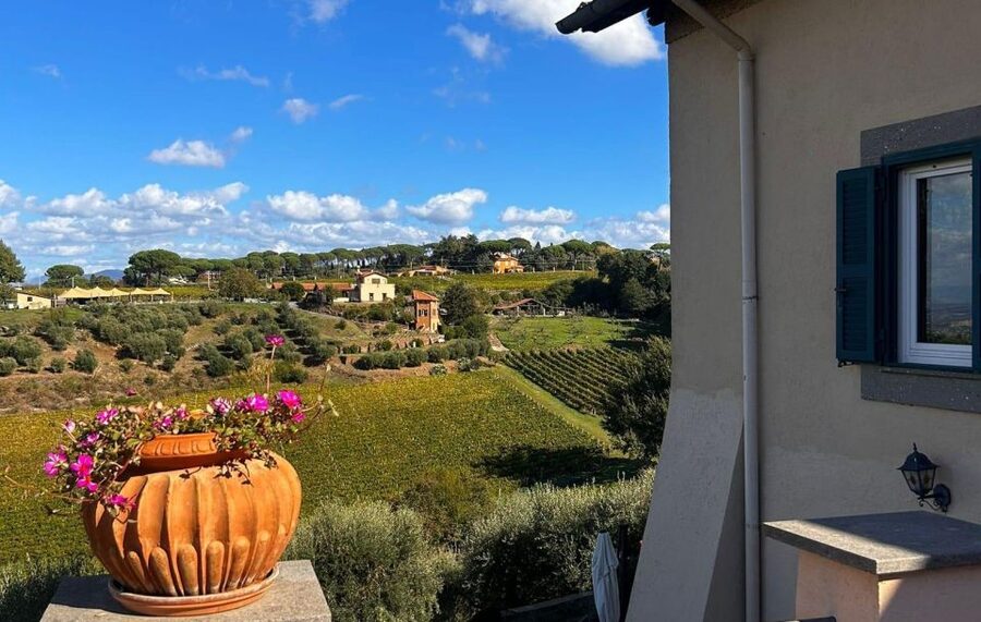 From Rome: Half-Day Frascati Wine Tour with Farmhouse Lunch - 3 boutique wines, plus EVO oil: how the tasting is set up