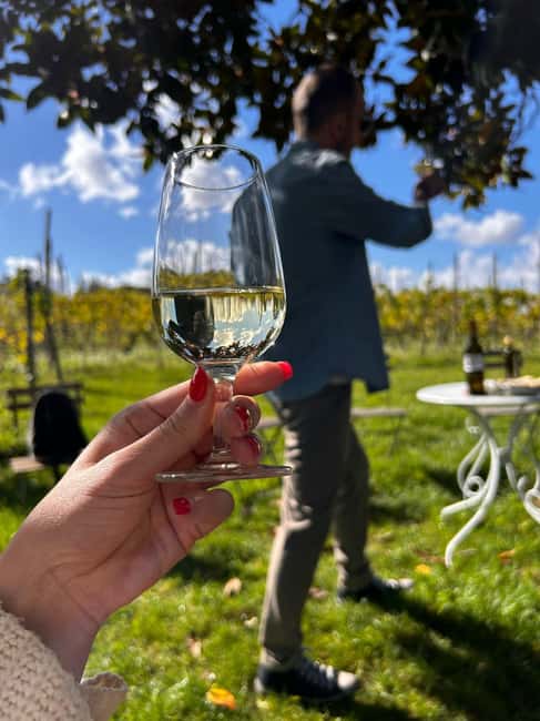 From Rome: Pasta Masterclass & Wine Tour in the Vineyard - Who should book this pasta and wine day