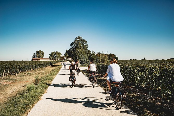 From Saint-Emilion : Electric Bike Day Tour with Wine Tastings and Picnic Lunch - Key points worth knowing before you go