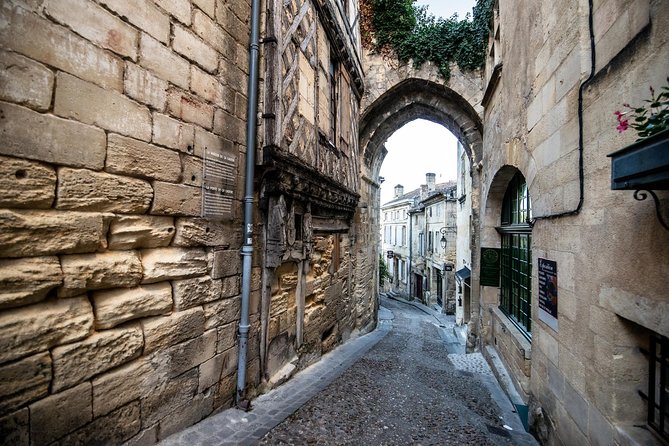 From Saint-Emilion : Electric Bike Day Tour with Wine Tastings and Picnic Lunch - 3:30 return ride plus a UNESCO village walking tour