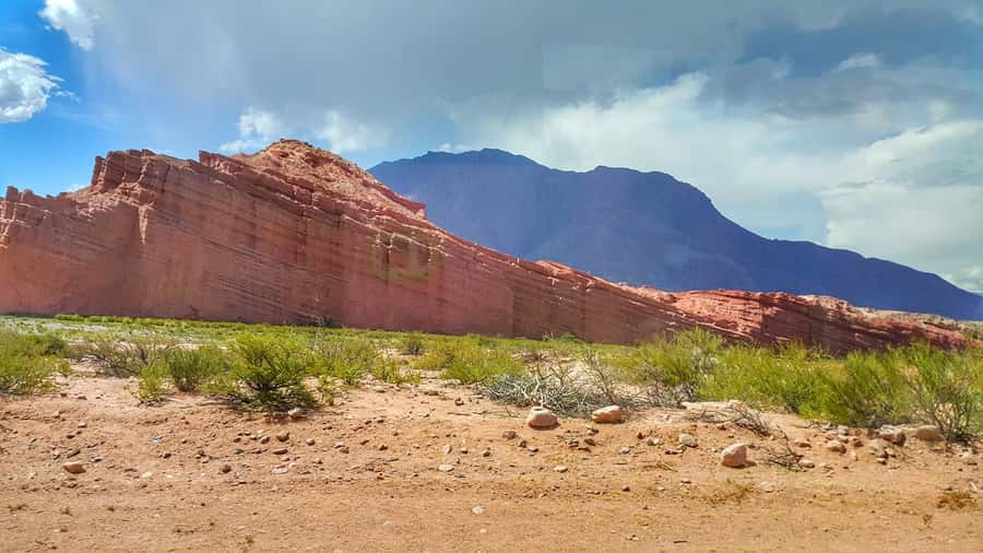 From Salta: Cafayate Day Trip with Wine Tasting - The wine tasting in Cafayate: Torrontés, pacing, and expectations