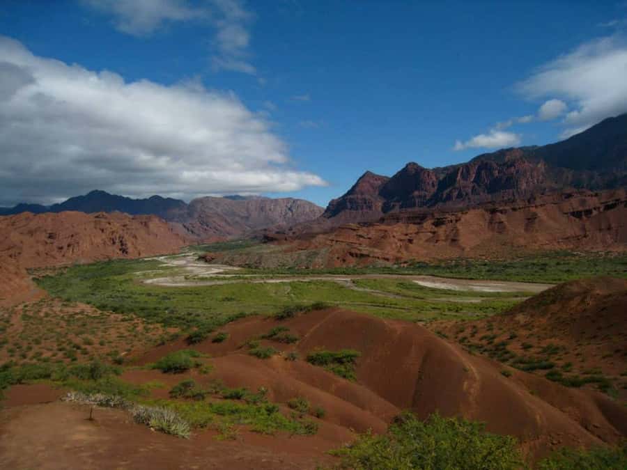 From Salta: Full-Day Tour to Cafayate with Wine Tasting - Route 68: tobacco chimneys, sun-dried leaves, and Andean scale