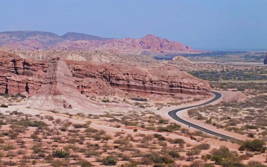 From Salta: Full-Day Tour to Cafayate with Wine Tasting - The bodega visit: what the torrontés tasting is really like